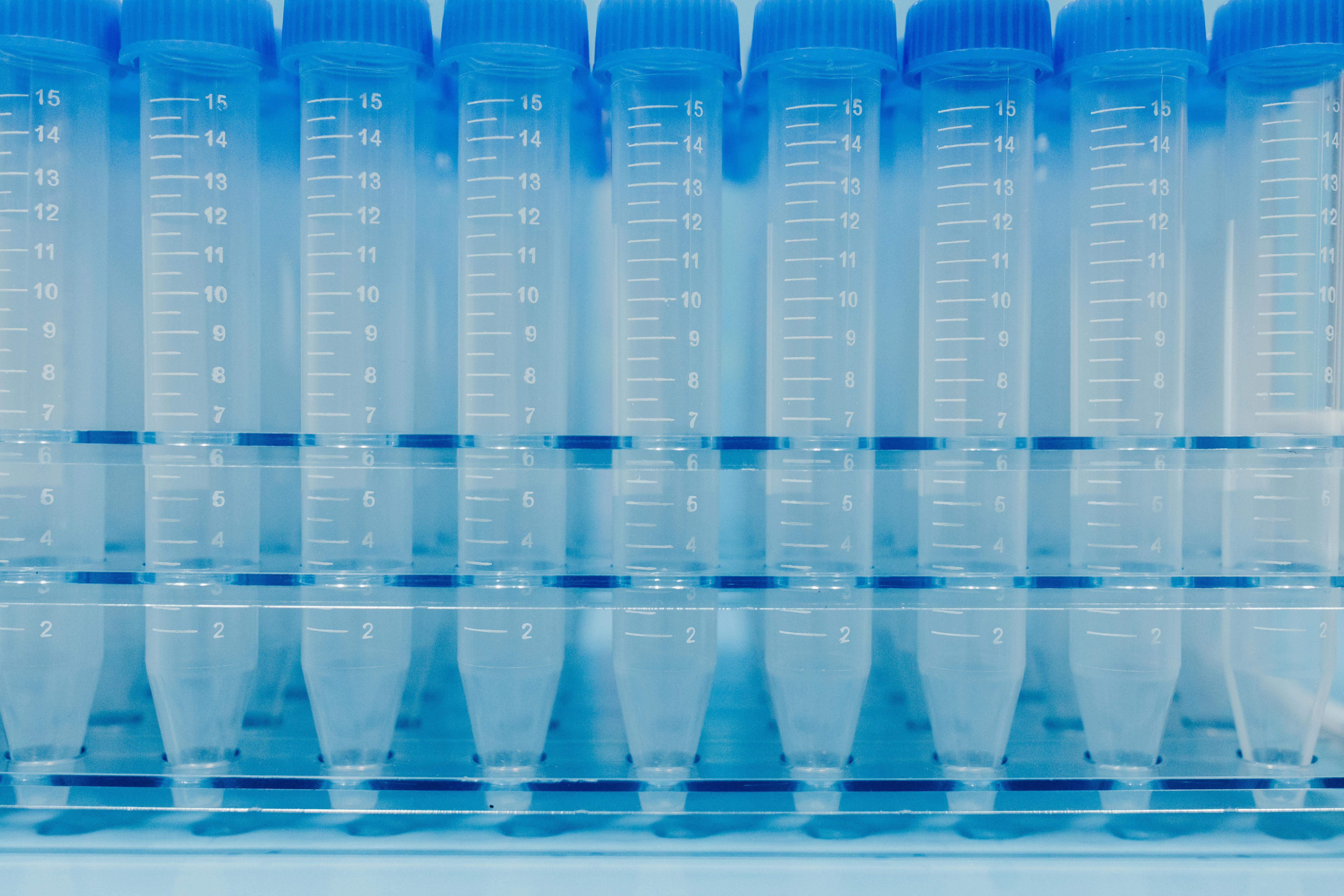 Institute of Biotechnology and Genomics